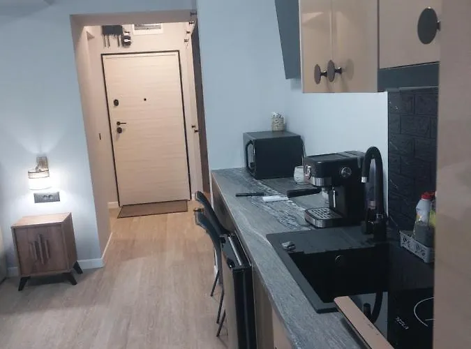 C&m By Zora Năvodari