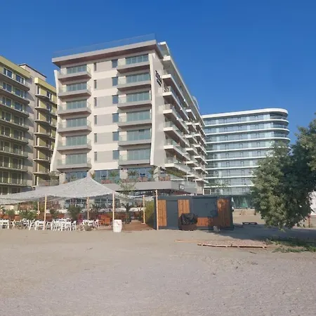 C&m By Zora Năvodari